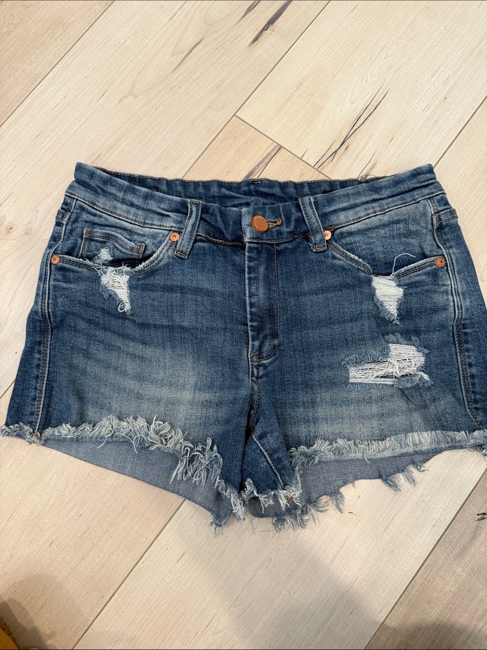 BlankNYC The Essex Jean Shorts, size 27
